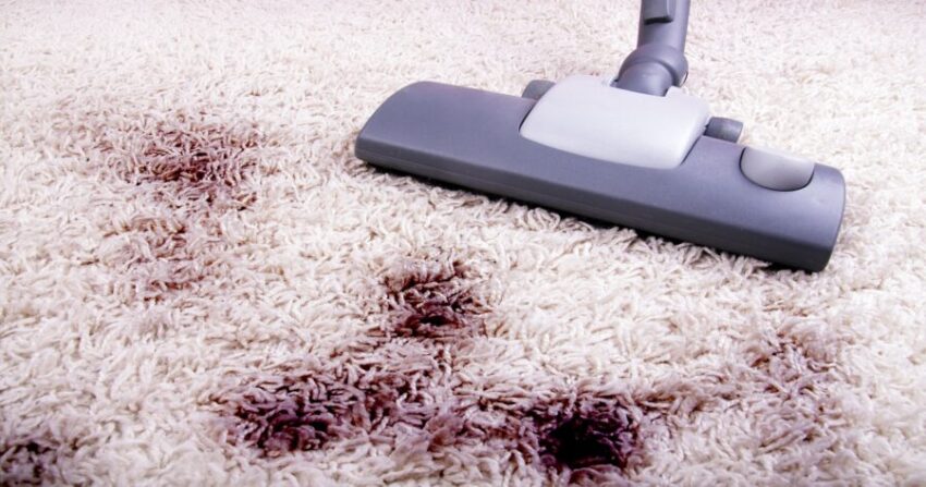 Carpet Cleaning by a Vacuum Cleaning Machine