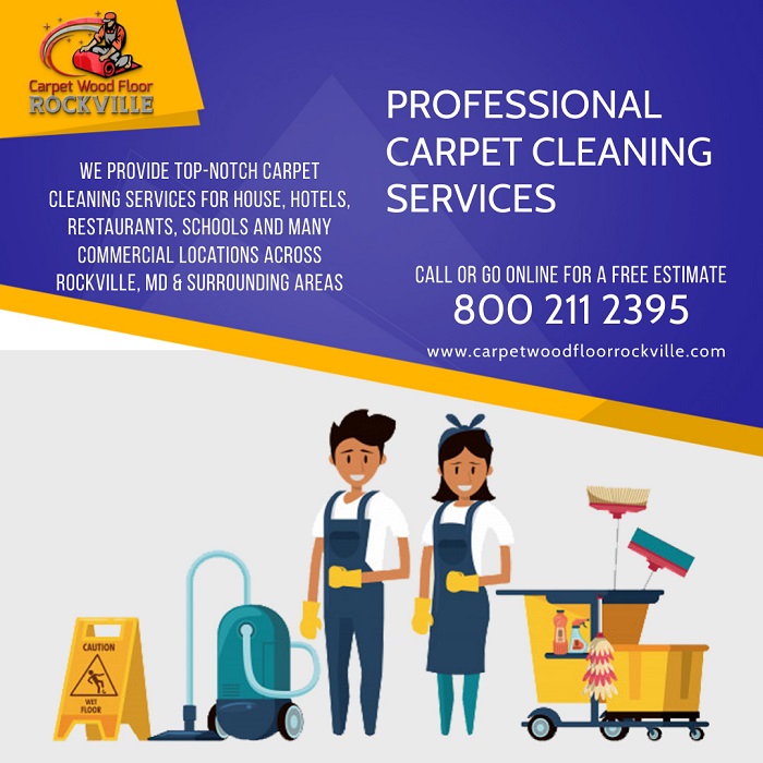 Things you need to know about carpet cleaning services